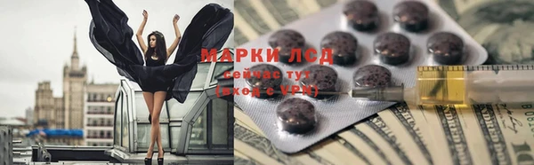 мяу мяу мука Аркадак