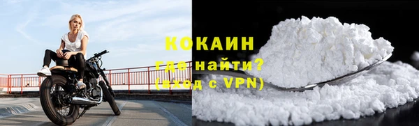 мяу мяу мука Аркадак