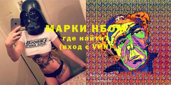 хмурый Алзамай