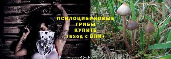мяу мяу мука Аркадак