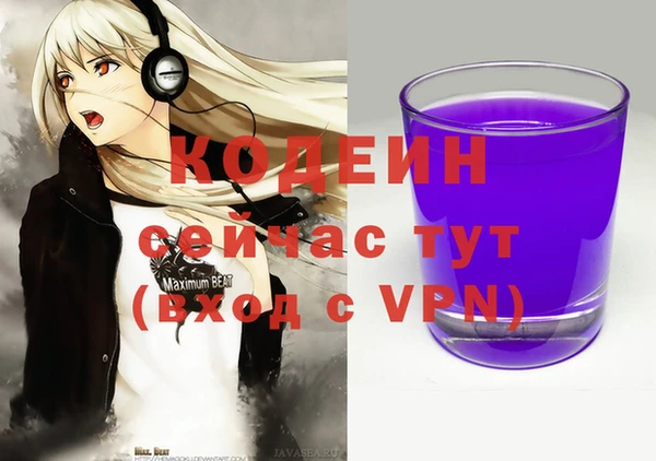 гидра Арсеньев