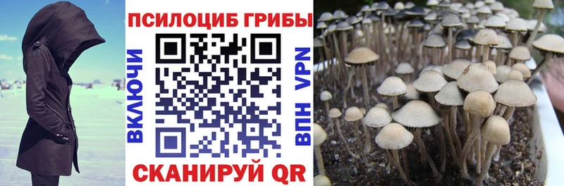Галлюциногенные грибы ЛСД  Талица 